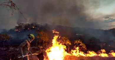 PGR aciona Supremo sobre constitucionalidade de lei goiana que endurece penas para crime ambiental