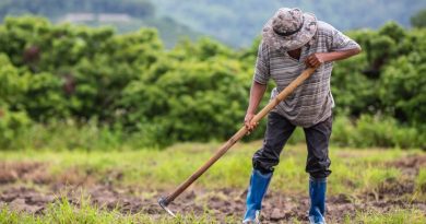 Agronegócio inicia 2025 com maior saldo de empregos formais desde 2022