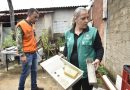 Goiânia (GO): município registra mais de 21 mil casos e sete mortes por dengue em 2025