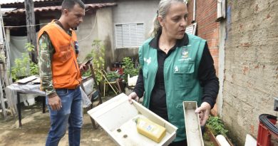 Goiânia (GO): município registra mais de 21 mil casos e sete mortes por dengue em 2025