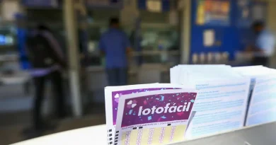 Lotofácil 3504: números e resultado do sorteio de hoje (04/10)