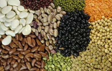 Exportações de pulses do Brasil sobem 30% em 2025, com destaque para o feijão