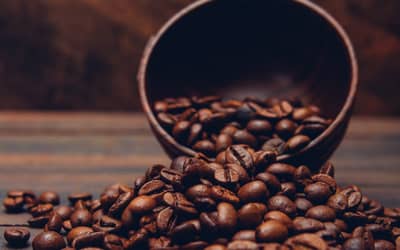 Café hoje: confira as cotações para esta terça-feira (21)