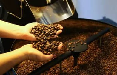 Café hoje: confira cotações para esta quinta (21)