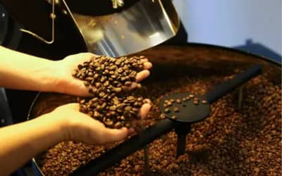 Café hoje: confira cotações para esta quinta (21)