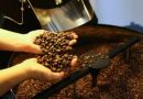 Café hoje: confira cotações para esta sexta (22)