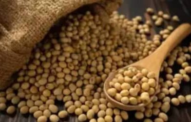 SOJA E TRIGO: confira os preços dos grãos nesta terça-feira (5)
