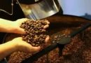 Café hoje: confira cotações para esta quarta-feira (10)