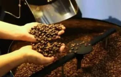 Café hoje: confira cotações para esta quarta-feira (10)