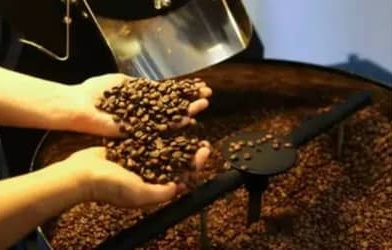 Café hoje: confira cotações para esta terça-feira (9)
