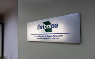Embrapa inaugura escritório em São Paulo (SP) e firma parceria com Grupo Carrefour Brasil