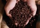 Café hoje: confira cotações para esta sexta-feira (3)